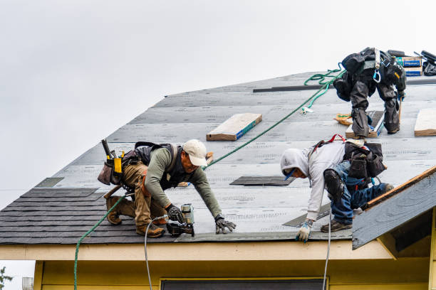 Professional Roofing technician working in Stanchfield, MN